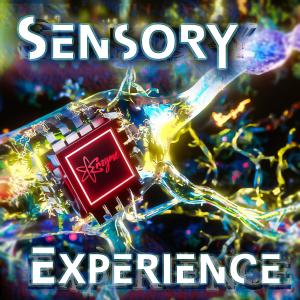收聽Enzyme的Sensory Experience歌詞歌曲