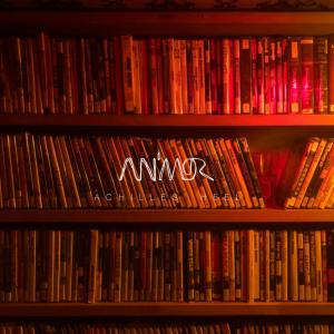 ดาวน์โหลดและฟังเพลง Achilles' Heel พร้อมเนื้อเพลงจาก Animor