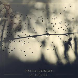 Album Afterlife from SAG