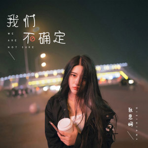 Listen to 我们不确定 song with lyrics from 狄思娴