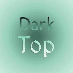 收听Rayen Mung的Dark Top歌词歌曲