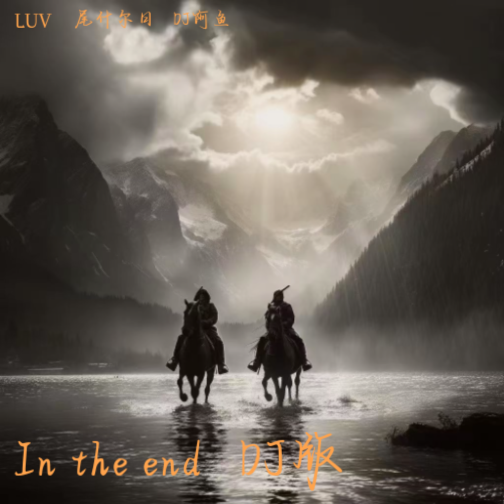 In the end   DJ版 (完整版)