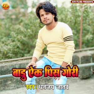 ดาวน์โหลดและฟังเพลง Badu Ek Pis Gori พร้อมเนื้อเพลงจาก Dhananjay Jatav