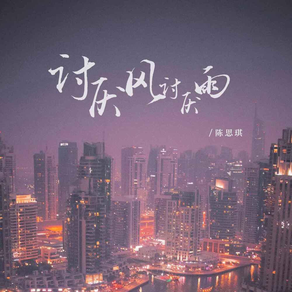 讨厌风讨厌雨 (DJ德朋版伴奏)