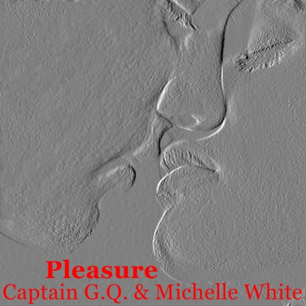 Pleasure (Radio Edit)