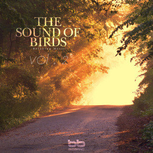 ดาวน์โหลดและฟังเพลง Bird Sound of Garden of Morning Calm 3 พร้อมเนื้อเพลงจาก 힐링 네이쳐 Nature Sound Band