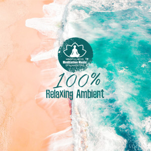 Dengarkan lagu Anti Anxiety nyanyian Mindfulness Meditation Music Spa Maestro dengan lirik