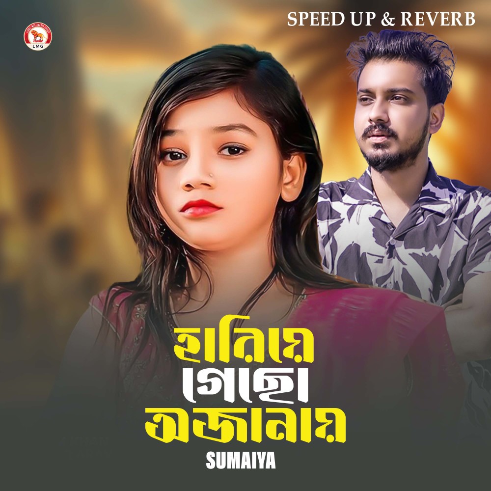 Hariye Gecho Ojanay (Speed up & Reverb)