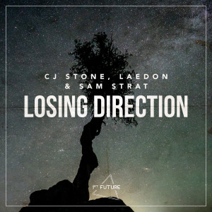 CJ Stone的专辑Losing Direction