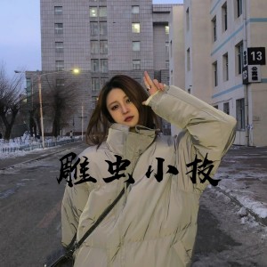 Album 雕虫小技 from 乐仙人