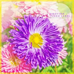 Listen to Once A Day song with lyrics from 송예솔