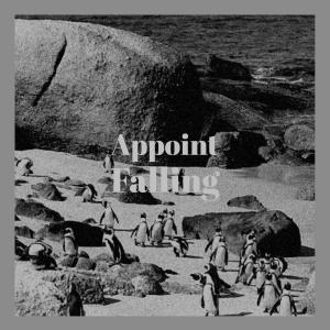 Album Appoint Falling from Various