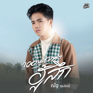 Listen to ขออนุญาตฮู้สึก song with lyrics from ณัฐ สุรศักดิ์