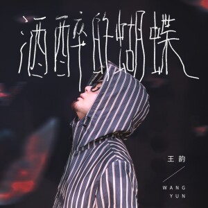 Album 酒醉的蝴蝶 from 王韵