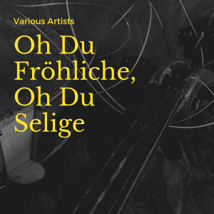 Browier-Hamann-Nebe-Quartett的专辑Oh Du Fröhliche, Oh Du Selige
