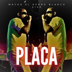 收聽maceo el perro blanco live的placa (live)歌詞歌曲