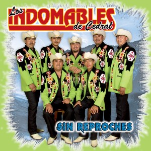 收聽Los Indomables de Cedral的Huapango la Bruja歌詞歌曲