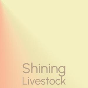 Listen to Laree Shine song with lyrics from Jelena Soji