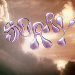 收聽Deep Harks的Sorry歌詞歌曲