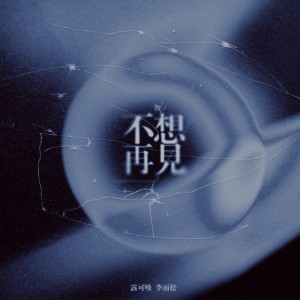 Listen to 不想再见 (伴奏) song with lyrics from 李雨松