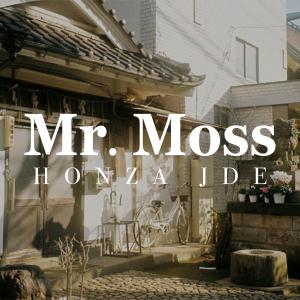 Listen to Honza Jde song with lyrics from Mr.Moss