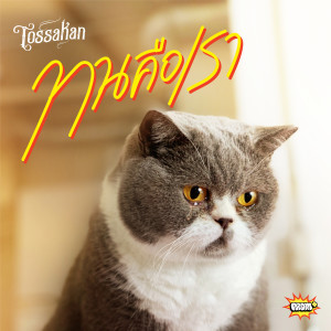 Album ทนคือเรา from Tossakan