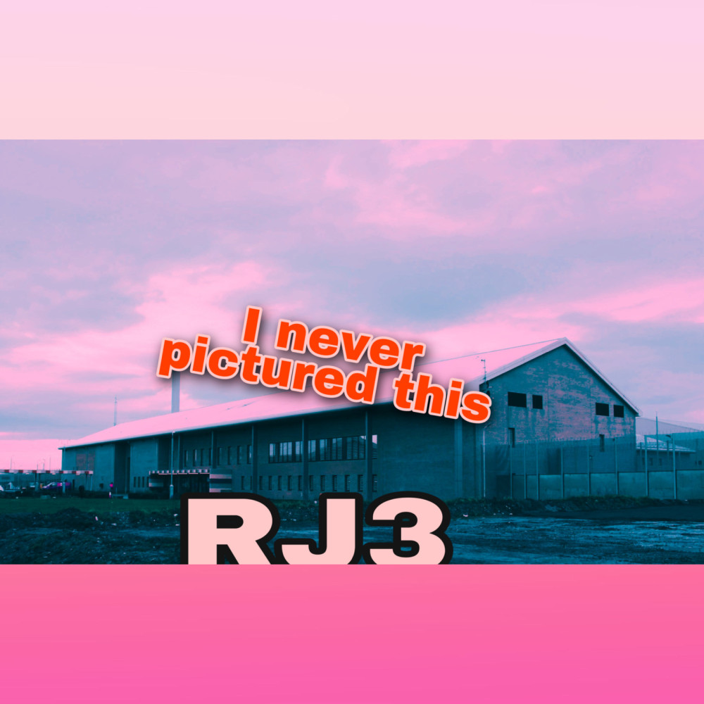 I Never Pictured This (Explicit)
