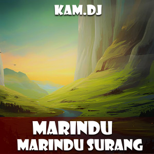 收听KAM.DJ的MARINDU RINDU SURANG歌词歌曲