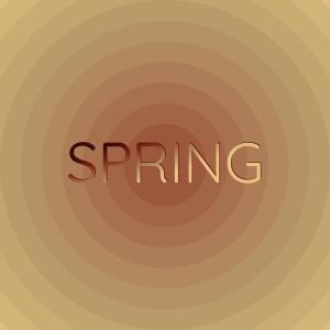 Listen to Never Gonna Leave You song with lyrics from Maryann Farra & Satin Soul