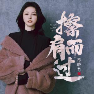 Album 擦肩而过 (女声版) from 陈晓竹