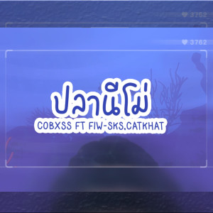 Listen to ปลานีโม่ (PraNemo) song with lyrics from Cobxss