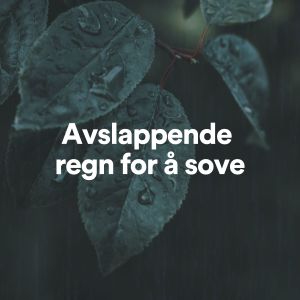 Listen to Avslappende regn for å sove, Pt. 17 song with lyrics from Regn Lyder