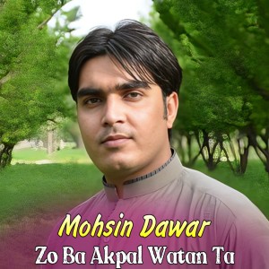 Mohsin Dawar的专辑Mohsin Dawar