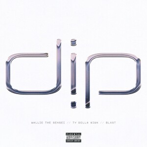 Listen to Dip (feat. Ty Dolla $ign & Blxst) (Explicit) song with lyrics from Wallie the Sensei