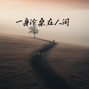 Album 一身沧桑在人间 from 格雷西西西