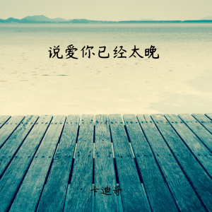 Listen to 说爱你已经太晚 (伴奏) song with lyrics from 卡迪哥
