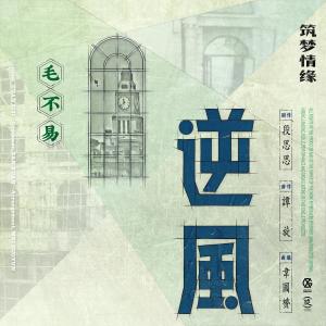 Dengarkan 逆風 (電視劇《築夢情緣》男主情感主題曲) (Single Version) lagu dari 毛不易 dengan lirik