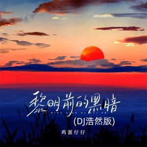 鸡蛋仔仔的专辑黎明前的黑暗 (DJ浩然版)