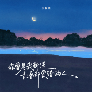 Listen to 你曾是我断送青春却爱错的人 song with lyrics from 段晓晓