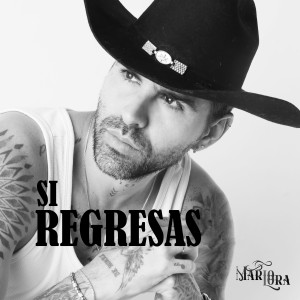 ดาวน์โหลดและฟังเพลง Si Regresas พร้อมเนื้อเพลงจาก Mario Lora