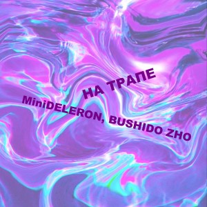 Listen to На трапе (Explicit) song with lyrics from MiniDELERON