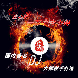 一万个舍不得（DJ大师合辑） dari 庄心妍