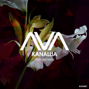 Album Alstroemeria from Kanallia
