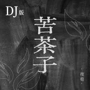 夜荀的專輯苦茶子（DJ版）