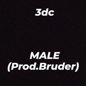 收聽3dc的Male歌詞歌曲
