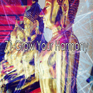 ดาวน์โหลดและฟังเพลง Light in the Dark พร้อมเนื้อเพลงจาก Zen Music Garden