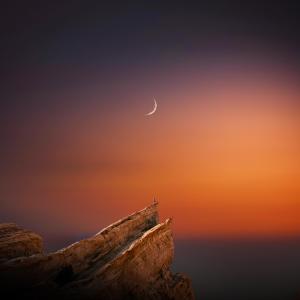 ดาวน์โหลดและฟังเพลง Day One พร้อมเนื้อเพลงจาก Arman Cekin