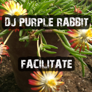 DJ Purple Rabbit的專輯Facilitate