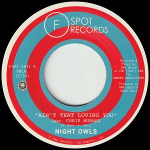 อัลบัม Ain't That Loving You (feat. Chris Murray) ศิลปิน Night Owls