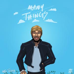 MIC Terry的專輯Many Things (Explicit)